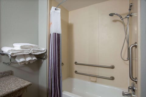 Combined shower/tub, free toiletries, hair dryer, towels