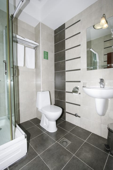 Superior Double Room | Bathroom | Shower, free toiletries, hair dryer, bathrobes