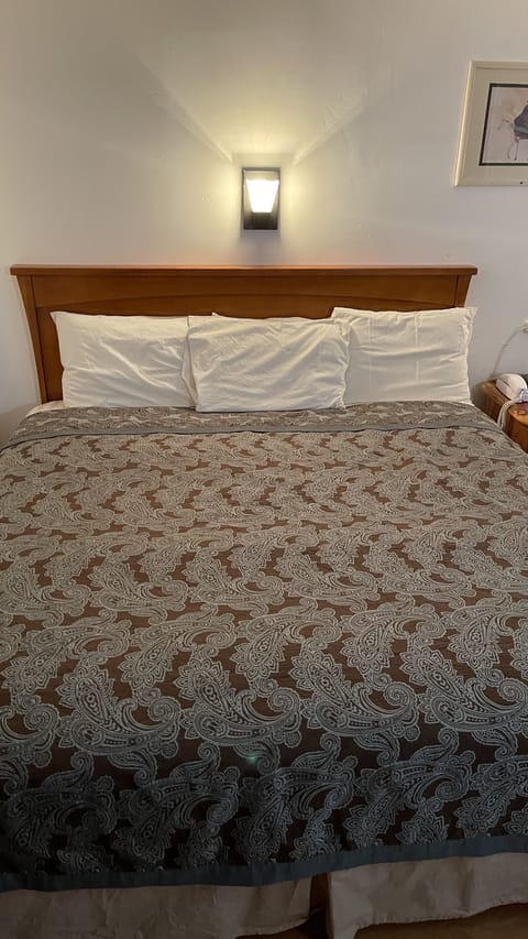 Deluxe Room, 1 King Bed | Individually furnished, soundproofing, iron/ironing board, free WiFi