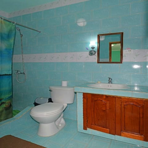 Double Room, 1 Queen Bed, Non Smoking | Bathroom | Shower, free toiletries, hair dryer, towels