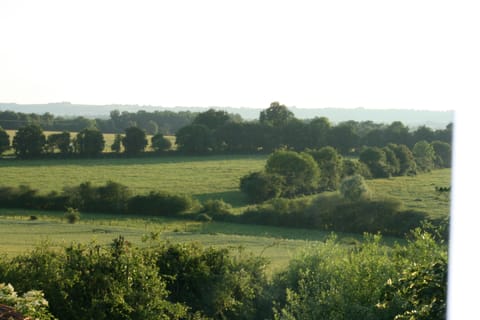 Superior Suite, Private Bathroom, Garden View (Suite des Pres) | View from room
