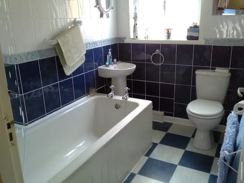 Combined shower/tub, free toiletries, hair dryer, bathrobes