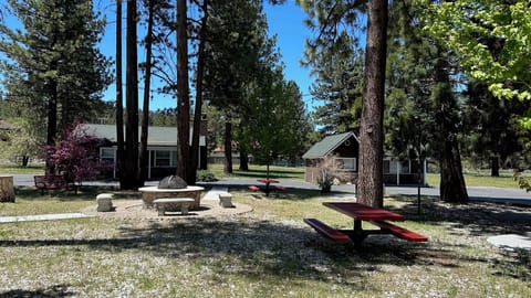 BBQ/picnic area