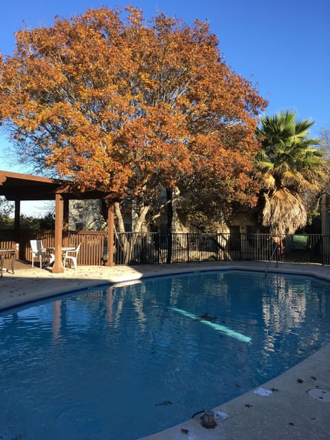 Seasonal outdoor pool, sun loungers