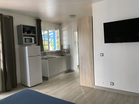 Studio Vue Mer (2 personnes) | Private kitchen | Full-size fridge, microwave, stovetop, electric kettle