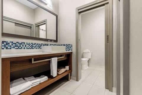 Business Room, 1 King Bed, Non Smoking, Refrigerator | Bathroom | Combined shower/tub, free toiletries, hair dryer, towels