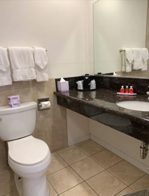 Combined shower/tub, free toiletries, hair dryer, towels