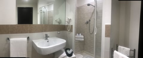 Shower, free toiletries, hair dryer, bidet