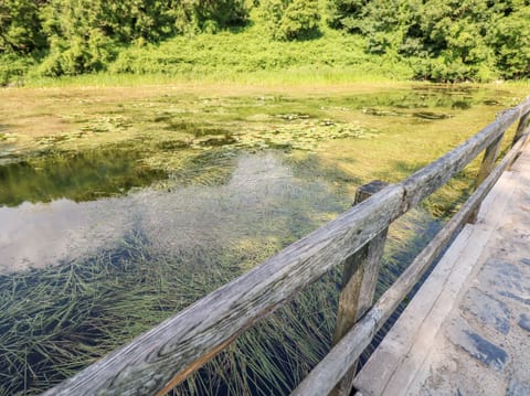 Cottage | Miscellaneous