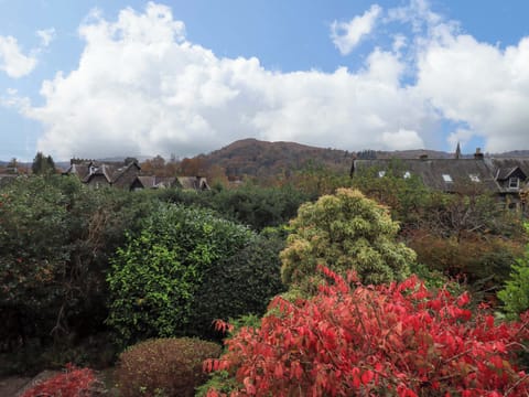 Cottage | Miscellaneous