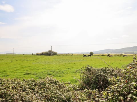 Cottage | Miscellaneous