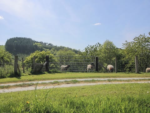 Cottage | Miscellaneous