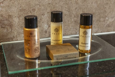 Combined shower/tub, free toiletries, hair dryer, bathrobes