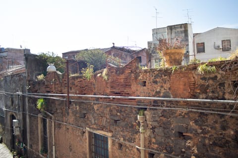 Basic Double Room, Terrace | Terrace/patio