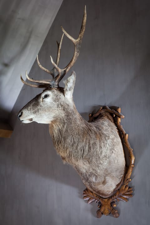 In-room safe, blackout drapes, soundproofing, iron/ironing board