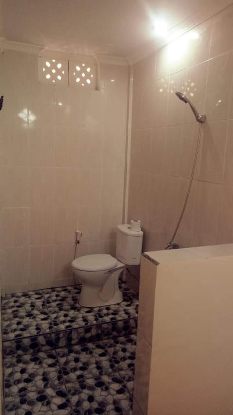 Shower, free toiletries, bidet, towels