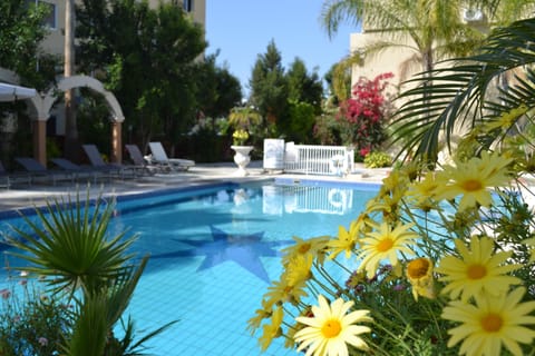 Outdoor pool, sun loungers