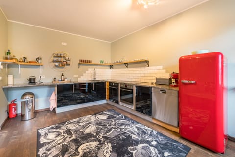 Deluxe Apartment | Private kitchen | Full-size fridge, microwave, oven, stovetop