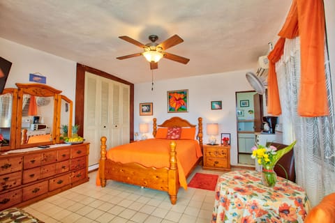 Panoramic Studio, 1 Queen Bed, Non Smoking, Oceanfront | Individually decorated, individually furnished, iron/ironing board