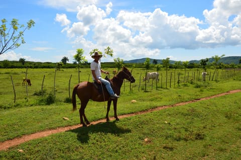 Horseback riding