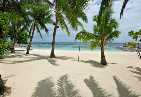 Private beach, white sand, sun loungers, beach towels