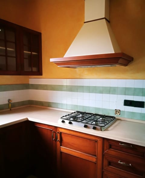 Apartment, 1 Bedroom, Terrace | Private kitchen | Full-size fridge, stovetop, cookware/dishes/utensils