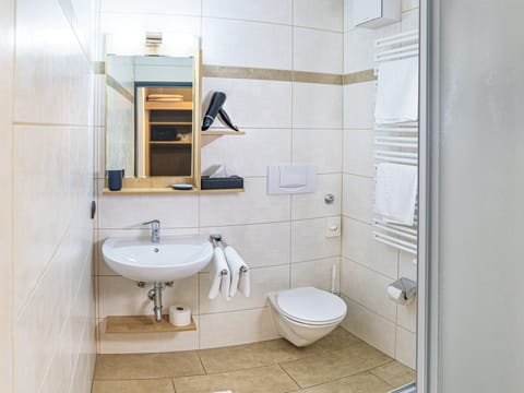 Basic Single Room, Non Smoking, Mountain View | Bathroom | Shower, free toiletries, hair dryer, towels