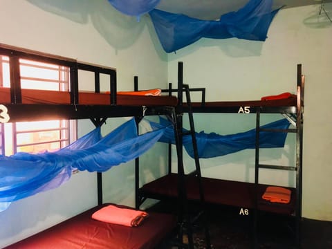 Bed in 8-bed Mixed Dormitory | Free WiFi