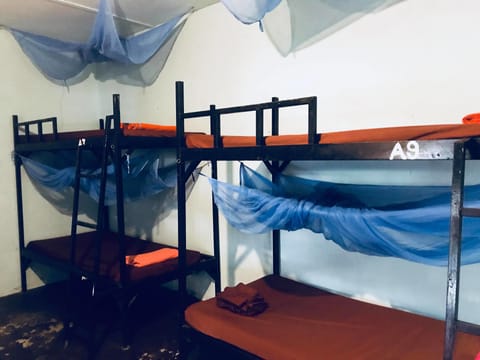 Bed in 8-bed Mixed Dormitory | Free WiFi