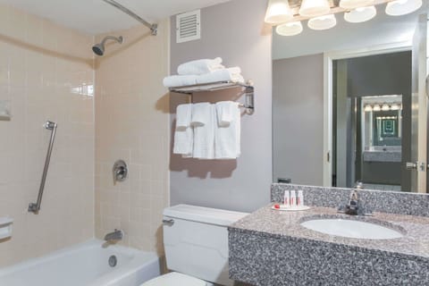 Combined shower/tub, free toiletries, hair dryer, towels