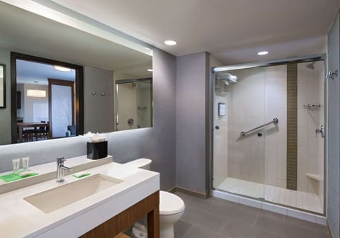 Suite, 1 King Bed with Sofa bed | Bathroom | Deep soaking tub, hydromassage showerhead, designer toiletries