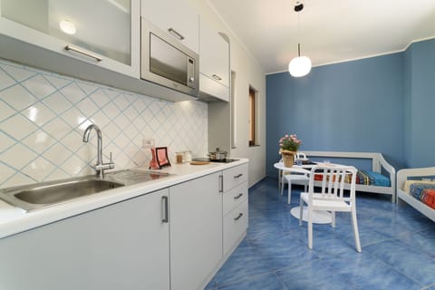 City Apartment | Private kitchen | Fridge, microwave, stovetop, electric kettle