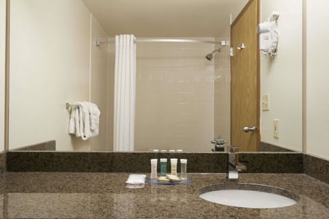 Combined shower/tub, free toiletries, hair dryer, towels