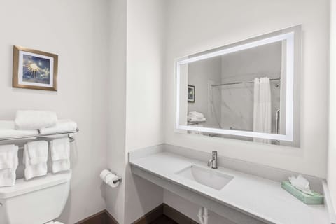 Accessible bathroom