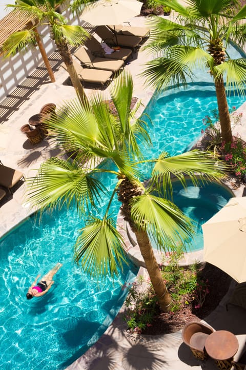 Outdoor pool, pool umbrellas, sun loungers