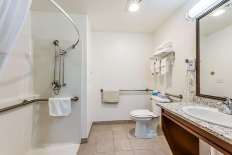 Combined shower/tub, free toiletries, hair dryer, towels