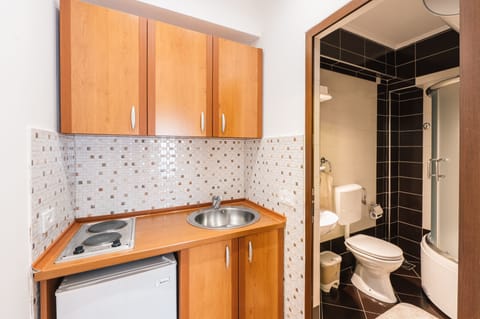 Deluxe Apartment | Bathroom | Shower, hair dryer, slippers, towels