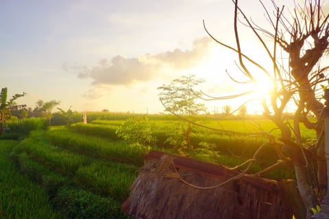 Land view from property