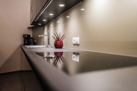 Full-size fridge, stovetop, toaster, cookware/dishes/utensils