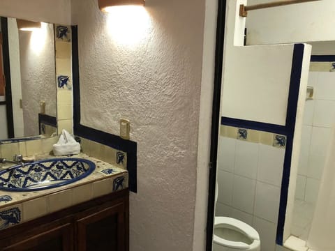 Superior (AC) | Bathroom | Shower, free toiletries, towels