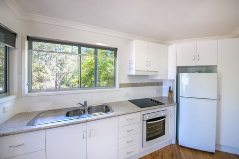 Deluxe Apartment, 1 Queen Bed | Private kitchen | Full-size fridge, microwave, oven, stovetop