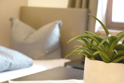 Basic Single Room, Mountain View | Down comforters, free WiFi, bed sheets