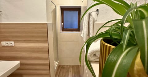 Basic Room, 2 Bedrooms, Ground Floor | Bathroom | Combined shower/tub, hair dryer, heated floors, towels