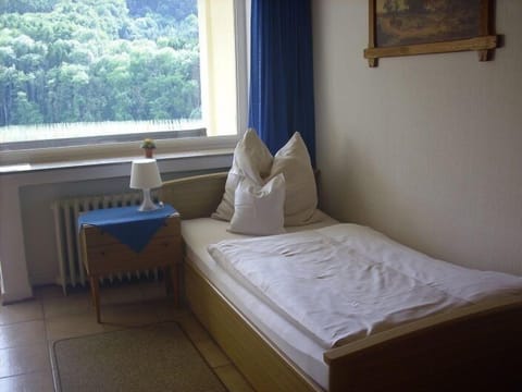 Classic Single Room, Non Smoking, Mountain View | View from room