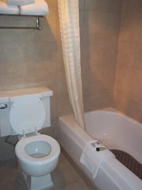 Combined shower/tub, hair dryer, towels