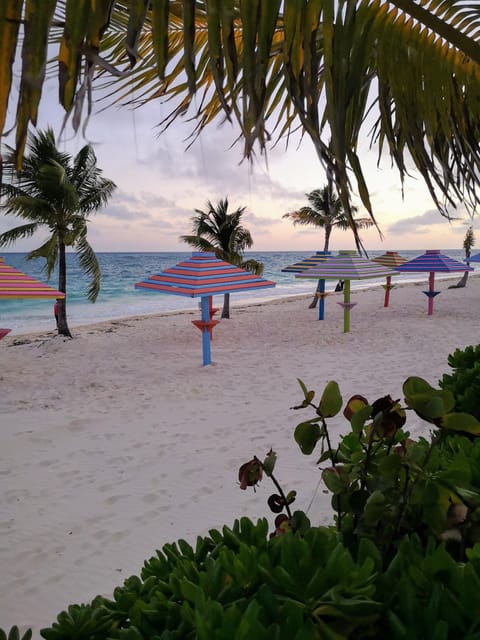 On the beach, white sand, free beach cabanas, sun loungers