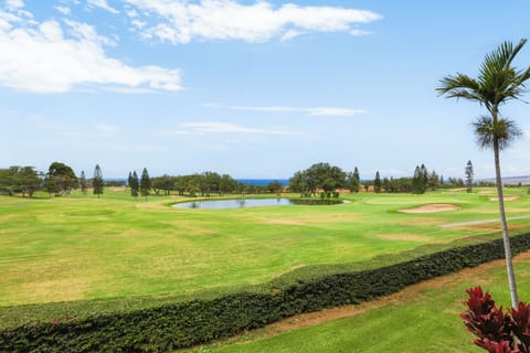 Waikoloa Fairways Unit A207 Golf View 2 Bedroom 2.5 Bath | Balcony view