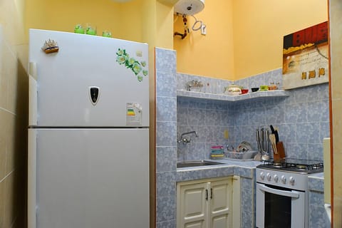 Full-size fridge, microwave, oven, stovetop