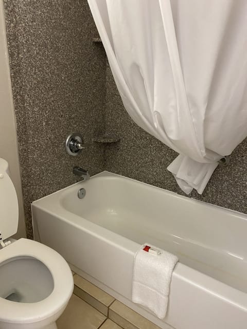 Combined shower/tub, free toiletries, hair dryer, towels