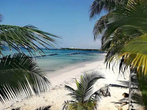 Beach nearby, white sand